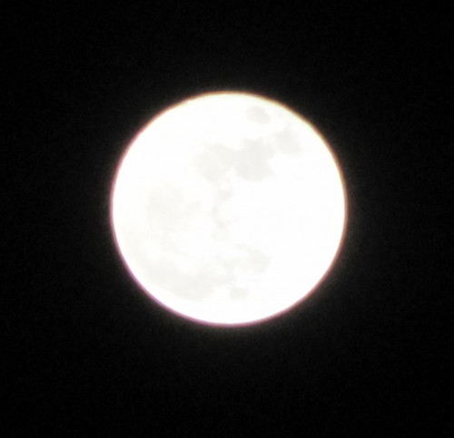 IMG_1271.JPG