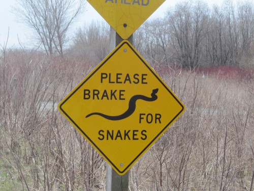 yes snakes have rights too.
