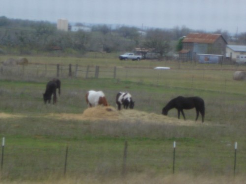 out my window