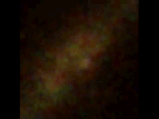 vela.gif