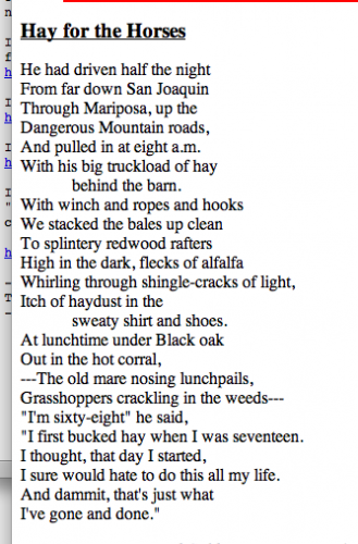 by gary snyder