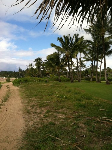 hanalei-along weke rd