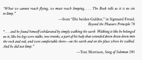 Nothing to do with your post I just like the juxtaposition of the quotes.