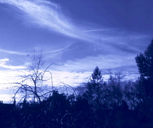 BLUES SKIES.jpg