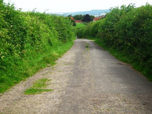 LANE FROM DIDDLING CHURCH TOWARDS BEPTON.JPG