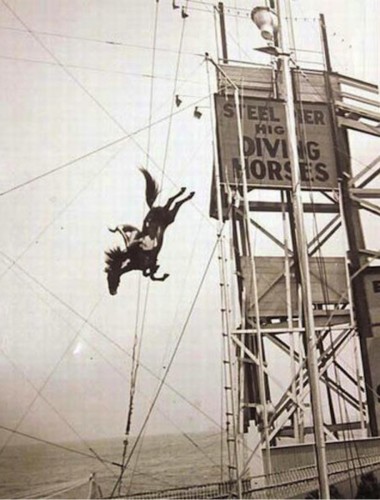 Diving horse @ steel pier Atlantic City