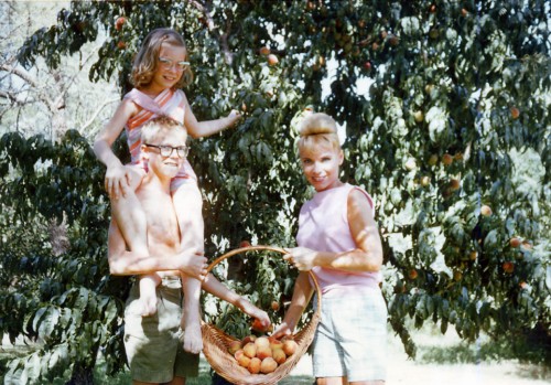 apple picking with his mom