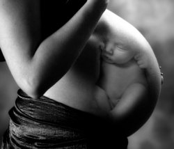 lens15726031_1290527127pregnant_women.jpg