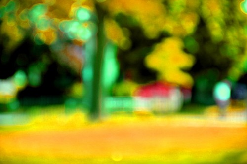 man-walking_in_park.JPG