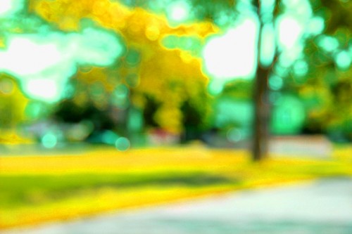 municipal_park.JPG