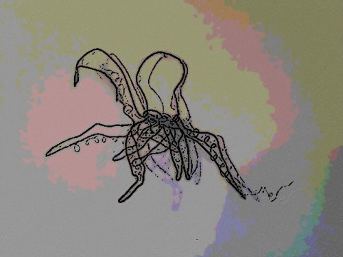 Wire octopus (w/shadows)