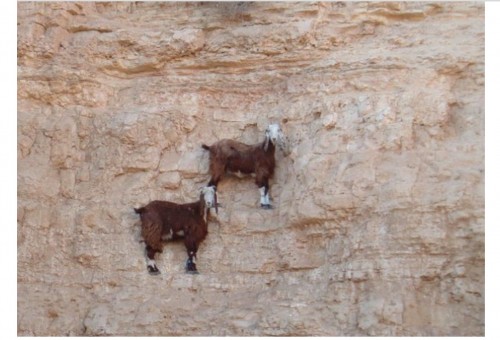 On the edge