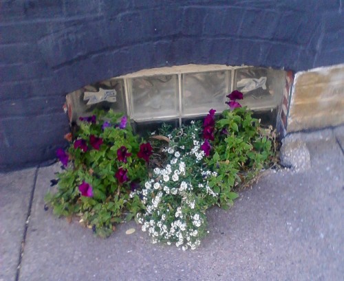 Alley off Fleet St. Fells Pt.