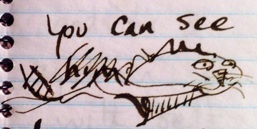 Old notebooks