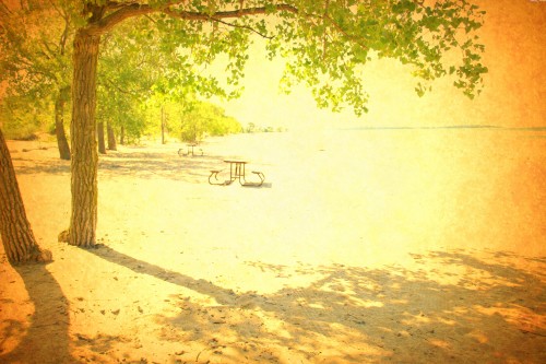 picnic_table_in_the_sunlight.jpg