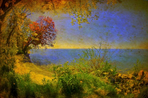 pickering_beach_x.jpg