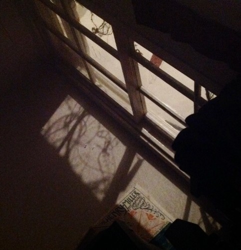 wired shadows, looking up from my studio floor