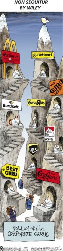 valley of the gurus.jpg