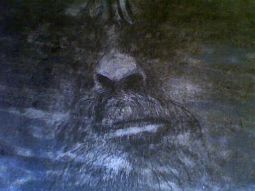 self potrait 1979.....shown at south eastern museum of contemporary art winston-salem n.c.