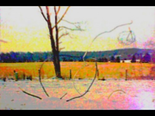 large rebar &amp; wire sculpture 1990