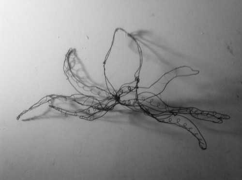 wire octopus.....28x13
