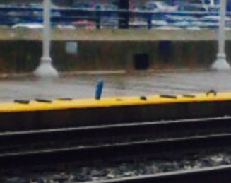 markers by the tracks