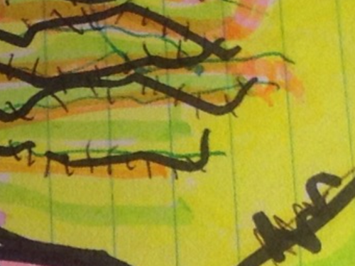 barbed wire....by me