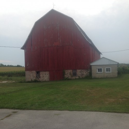 on the farm