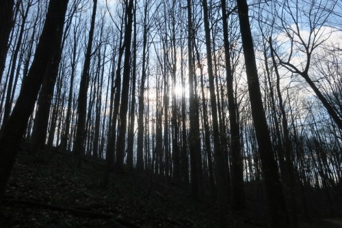 birthday hike