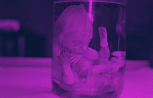 Digital image by dadio.