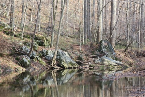 IMG_3289.JPG (196.1 KiB) Viewed 1062 times little gunpowder river