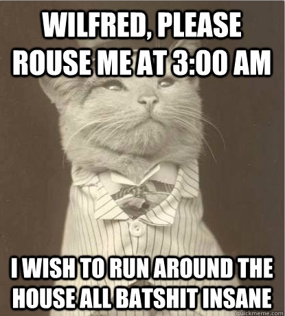 wilfred.jpg