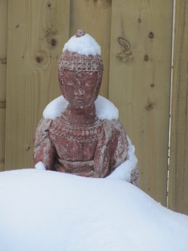 Snow Buddha.JPG (420.25 KiB) Viewed 779 times Sitting quietly as a snowflake...