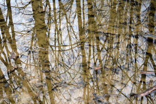 IMG_2208.JPG (219.48 KiB) Viewed 2214 times Sweet Air section of Gunpowder Falls State Park