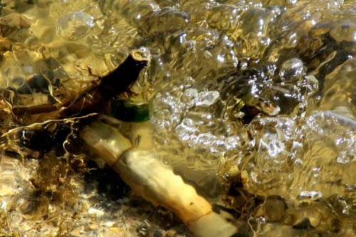 IMG_1323.JPG (186.15 KiB) Viewed 2301 times Chesapeake Bay