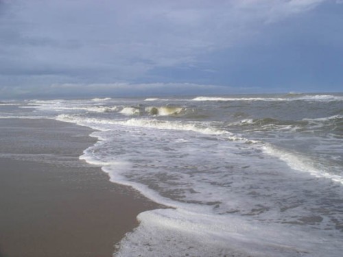 waves3.jpg (64.39 KiB) Viewed 1397 times let's go to aruba!