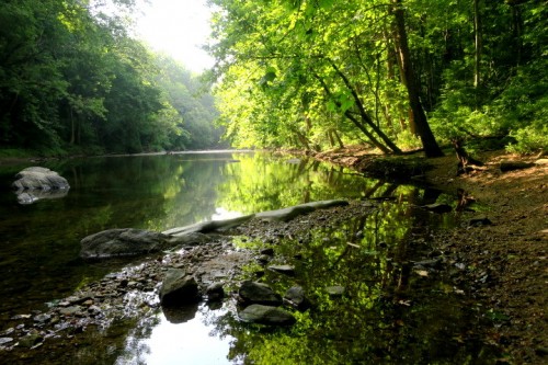 IMG_2374.JPG (181.96 KiB) Viewed 989 times yesterday 7-12-21 Big Gunpowder River