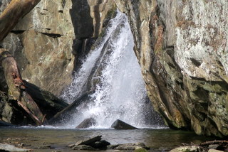 along the Deer Creek......pic, Feb.2024