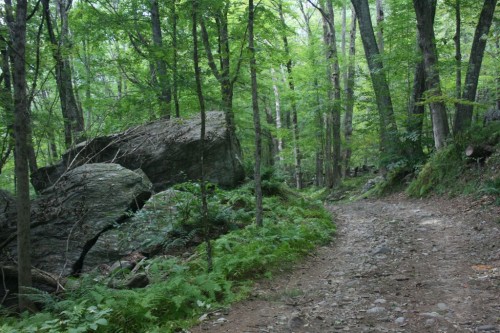 IMG_20240902_24543.jpg