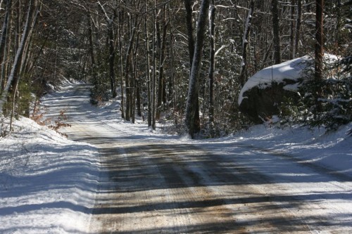 IMG_20250120_25166.jpg