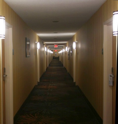 a_20250214_25213.jpg