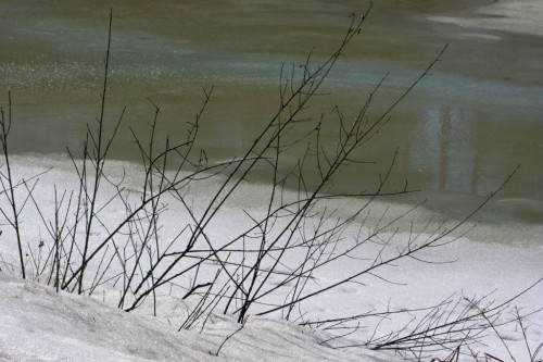 IMG_20250228_25279.jpg