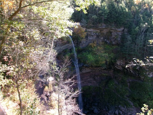 100_0049.JPG