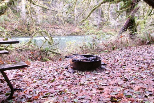 100_0368.JPG