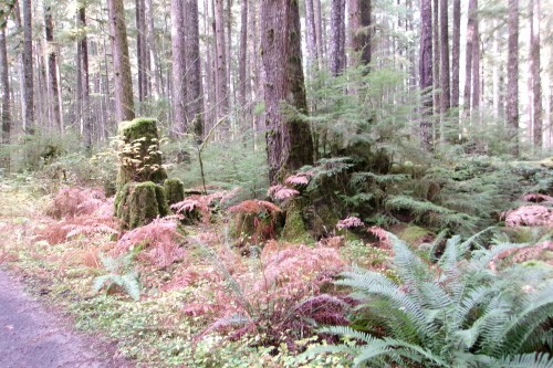 100_0360.JPG