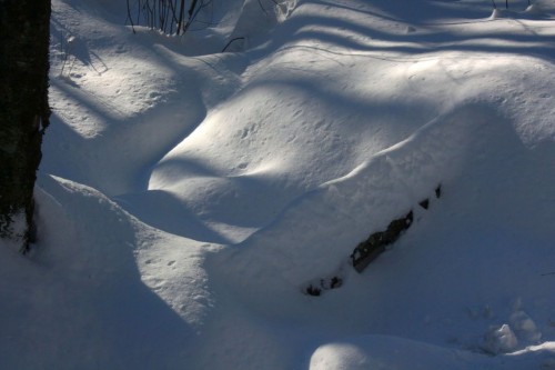 09Shadows.jpg