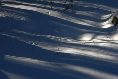 10Shadows.jpg