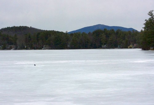 IMG_20260313_26813.jpg