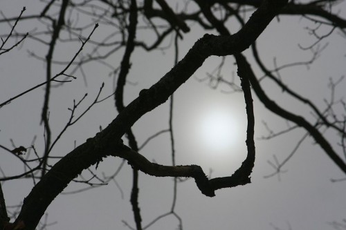 IMG_20260313_26812.jpg