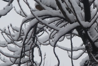 IMG_8899.JPG